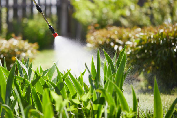 Tamper-Resistant Bait Stations for Rodents in Howard Lake
