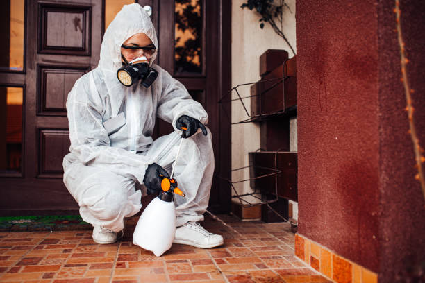 Attic and Crawl Space Rodent Treatment in Howard Lake