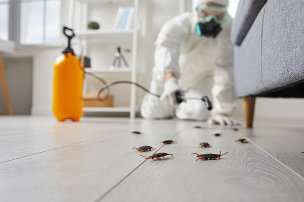 Commercial Rodent Management in Howard Lake